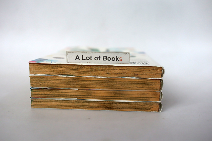 Outbreak company ( 4 เล่มจบ )