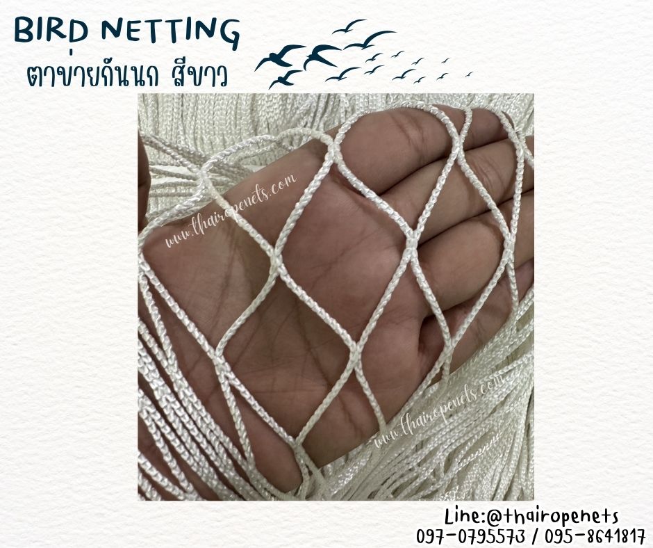 ตาข่ายกั้นระเบียงกันนก สีขาว bird netting เชือกหนา 2 มิล ช่องตา 3x3 cm. ผสมสารป้องกัน UV ใช้งานได้ยาวนาน รับทำตามขนาดที่ต้องการ