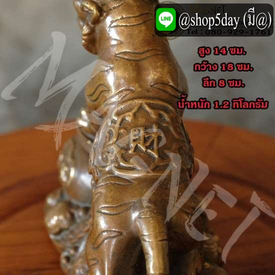 ฮ้อเอี๋ยเจียงกุน หรือ เทพเจ้าเสือ