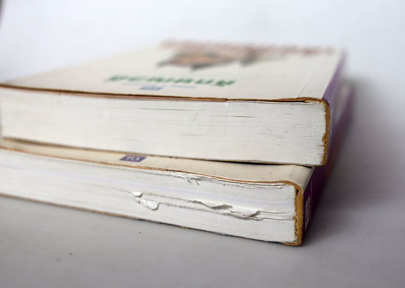 เลือดขัตติยา ( 2 เล่มจบ )