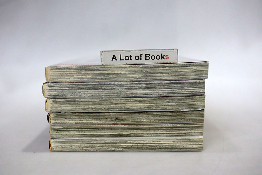 แมลง ลูกตา และตุ๊กตาหมี ( 6 เล่มจบภาค )