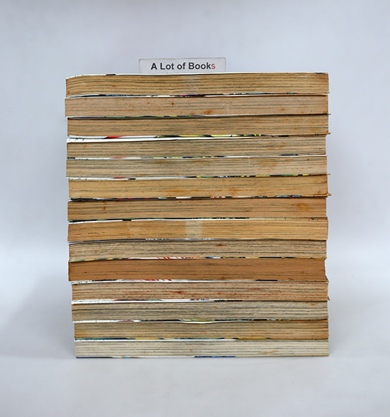 Jesus หนทางบนม่านทราย ( 14 เล่มจบ )