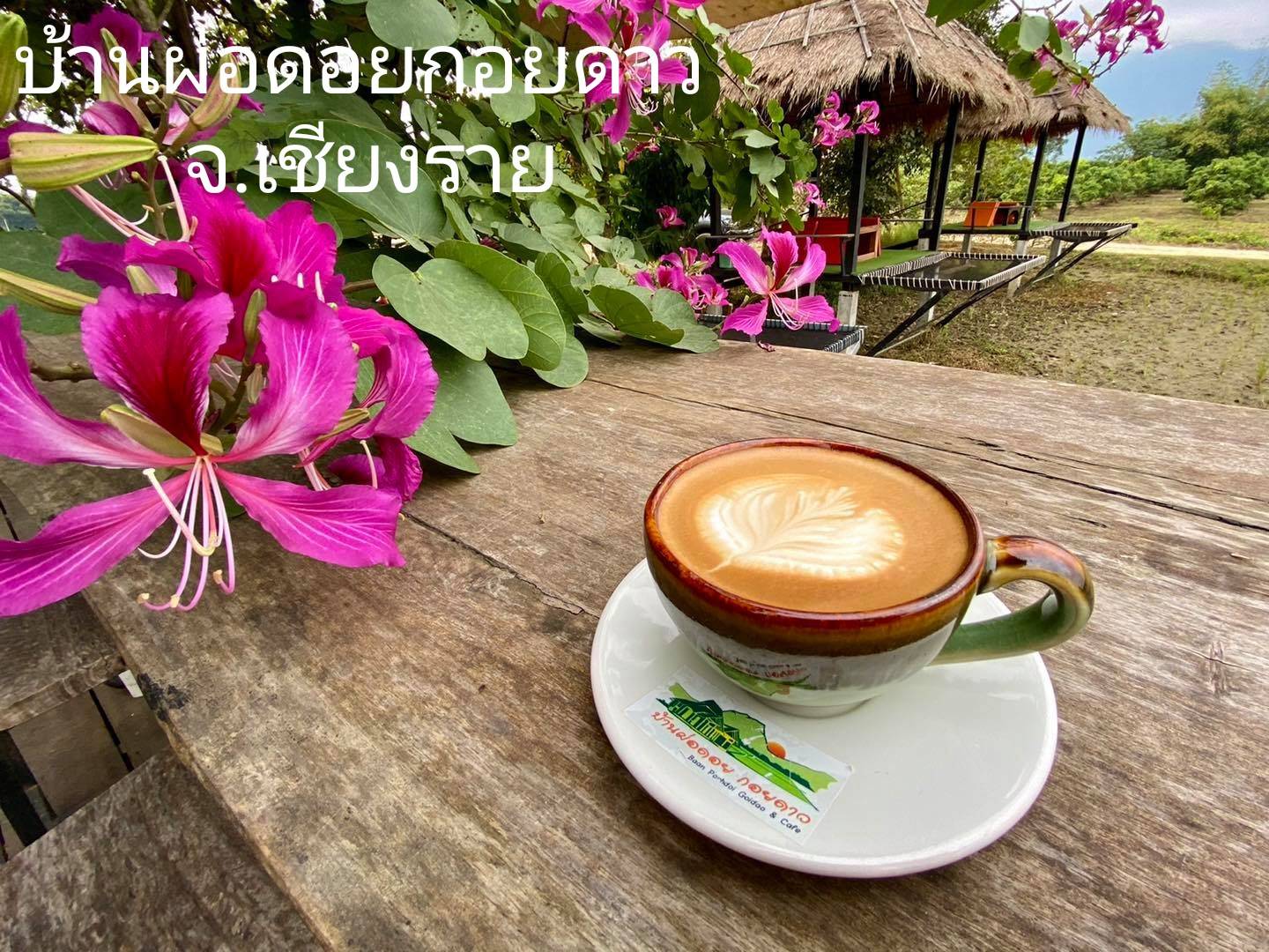 Hammock เปลตาข่ายนั่งเล่น ตาข่ายเช็คอินคาเฟ่ ตาข่ายกันตก