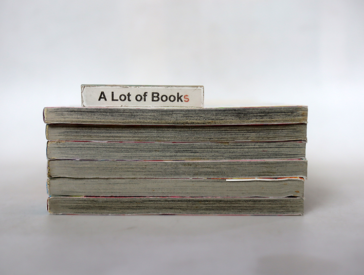 B-Wanted มายารัก มายากล ( 6เล่มจบ )