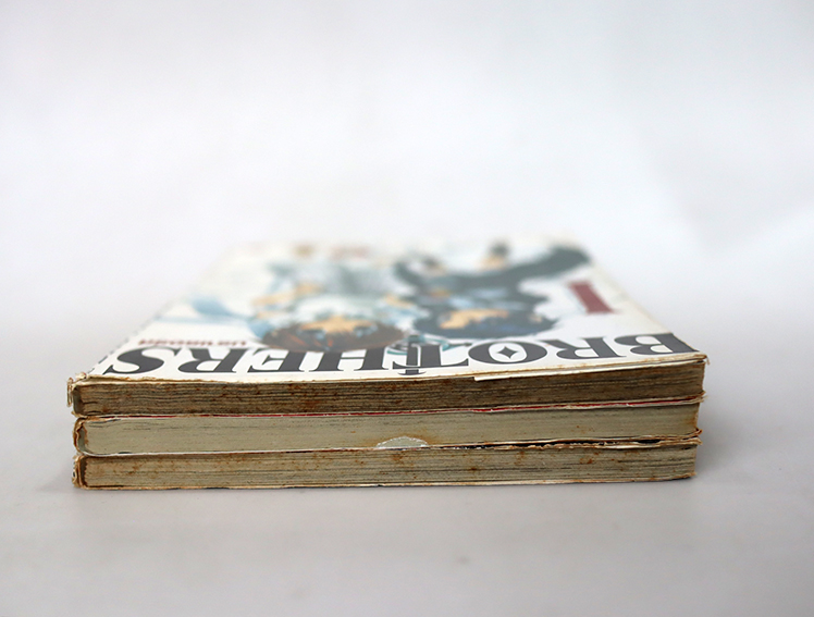 Brother บราเธอร์ส ( 3 เล่มจบ )