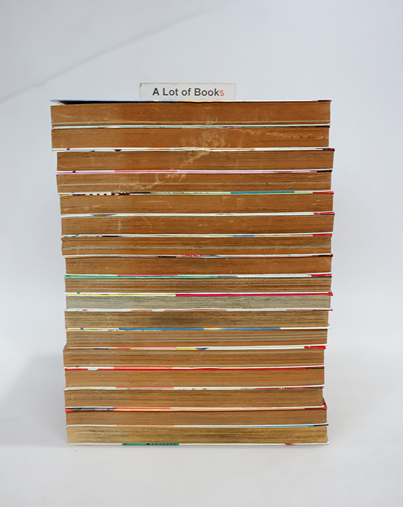 AI Revolution( 17 เล่มจบ )