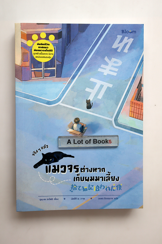 จริง ๆ แล้วแมวจรต่างหากเก็บผมมาเลี้ยง