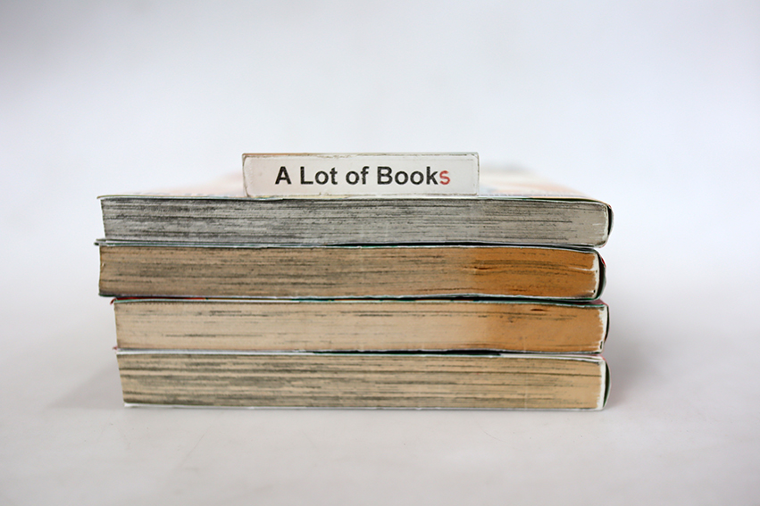 wizard Nation ชนผ่าเหล่า เผ่าเหนือมนุษย์ ( 4 เล่มจบ )