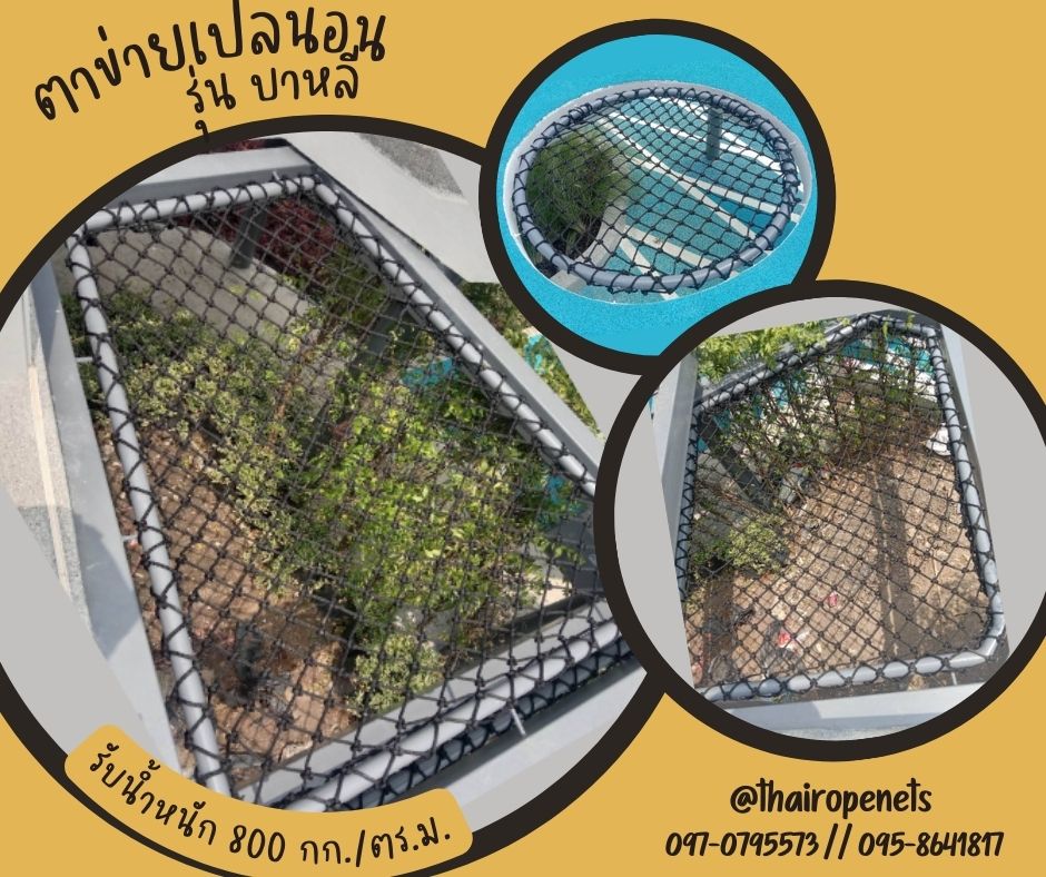 ผลงานเปลตาข่าย ตาข่ายเปลนอน ตาข่ายนั่งเล่น ตาข่ายนั่งชิว ตาข่ายนั่งชมวิว งานตาข่าย