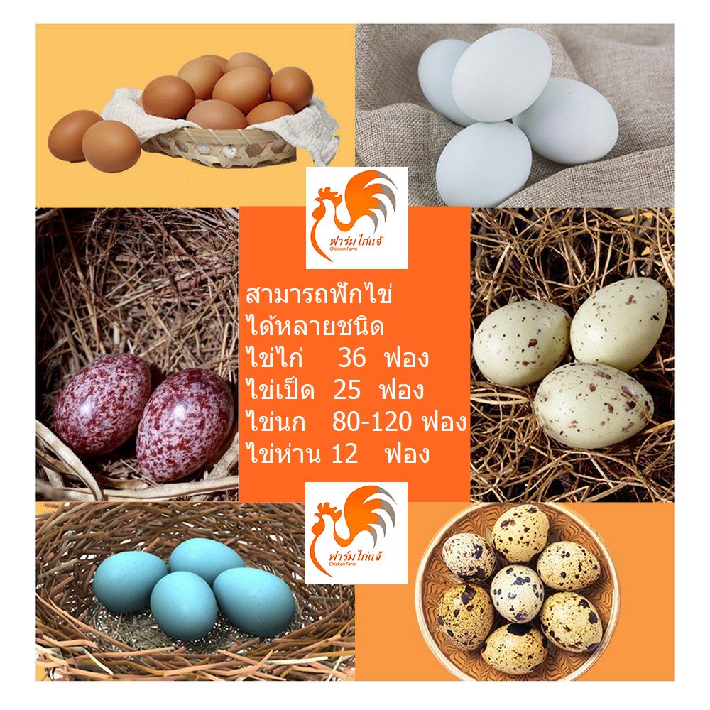 เครื่องฟักไข่อัตโนมัติ 36 ฟอง ตู้ฟักไข่ ตู้อบไข่ ฟักไข่ได้หลายขนาด ไข่ไก่ ไข่ห่าน ไข่นกกระทา