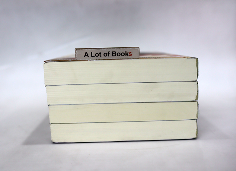 ขลุ่ยครองฟ้า ( 4 เล่มจบ )