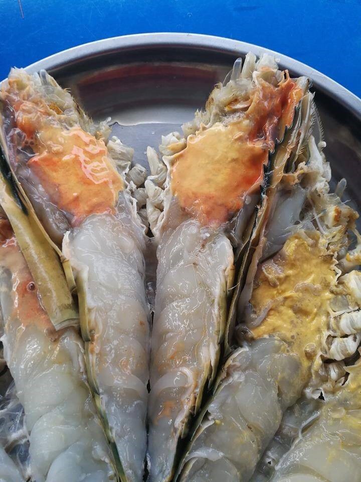 กุ้งจัมโบ้
