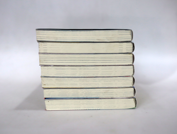 My hero academia มายฮีโร่ อคาเดมีย (ฉบับนิยาย)