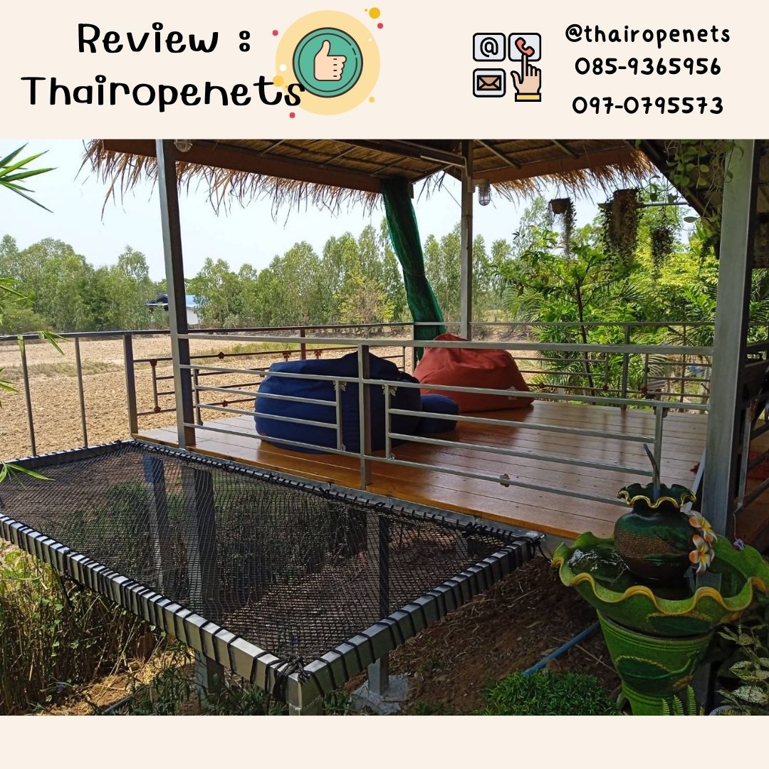 รีวิวตาข่ายเปลนอน ไร้ปม ตาข่ายเปลนอนตามร้านอาหาร คาเฟ่ ตาข่ายนั่งเล่นตามร้านกาแฟ