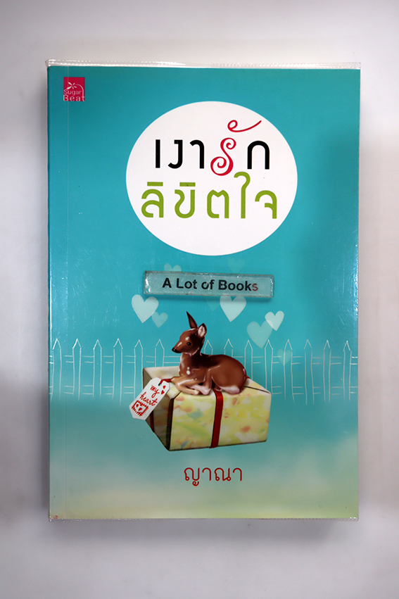 เงารักลิขิตใจ