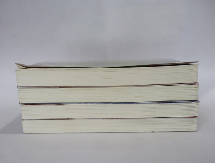 ลำนำรักเทพสวรรค์ ภาคหนึ่ง ( 4 เล่มจบ )