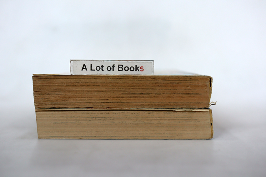 ผจญภัยแดนโหด ( 2 เล่มจบ )