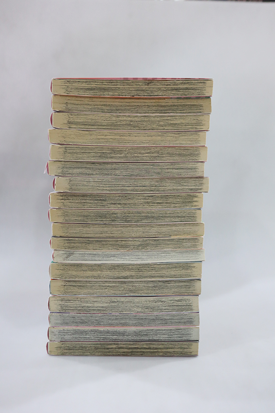 Liar Lily ไลเออร์ลิลลี่ ( 17 เล่มจบ + เล่ม 0 )