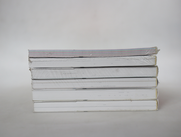 What's Michael เหมียวไม่ธรรมดา ( 6 เล่มจบ )