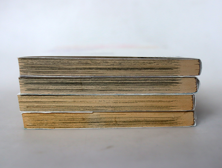 Hungry Marie (4 เล่มจบ )