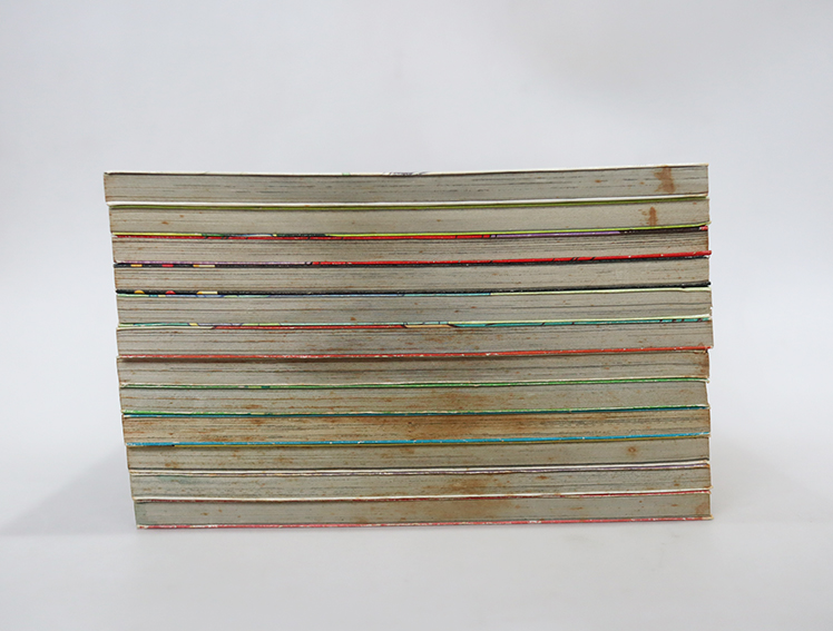 รักร้อนซ่อนกล ( 12 เล่มจบ )