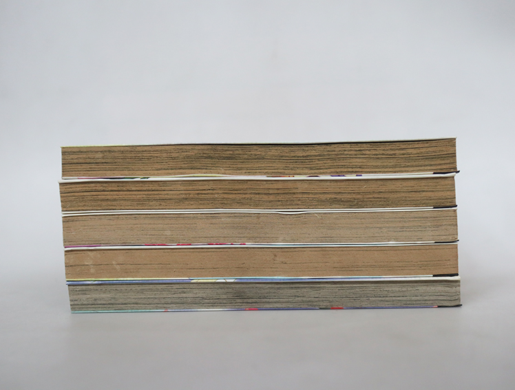 ศึกข้ามฟ้า ซามูไรข้ามยุค ( 5 เล่มจบ )