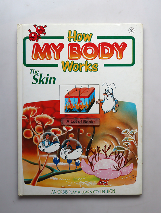 How my body works The Skin