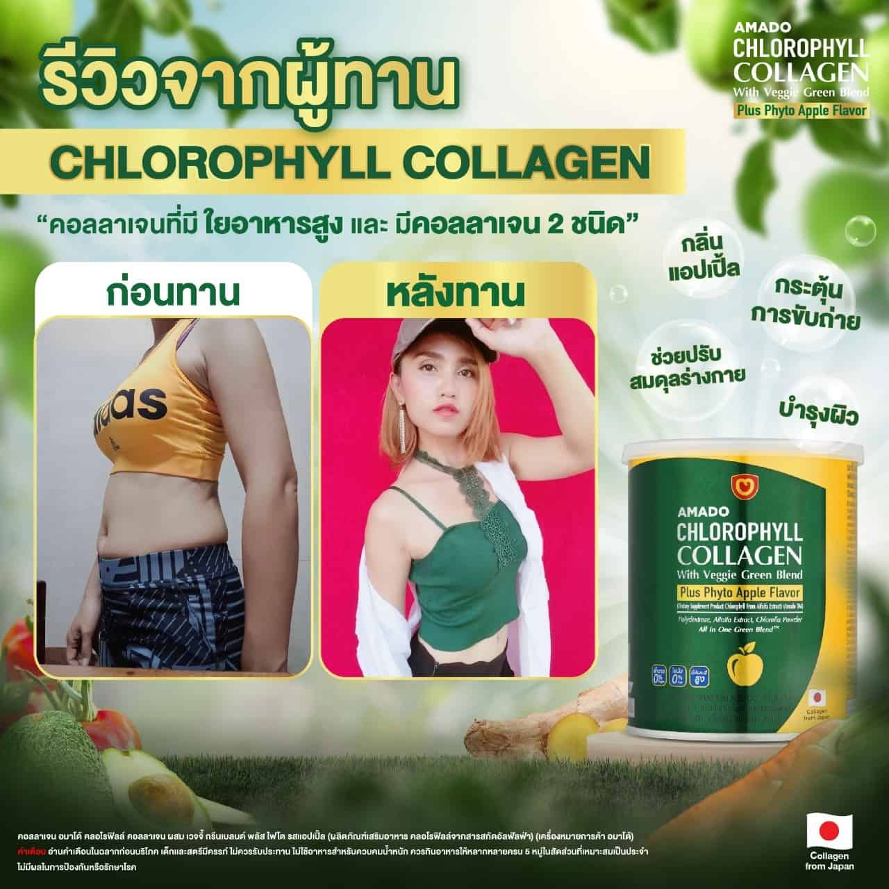 อมาโด้ คลอโรฟิลล์ ราคา
