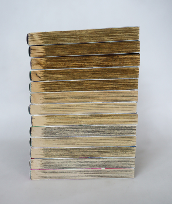 สุขาวดีอเวจี ( 13 เล่มจบ )