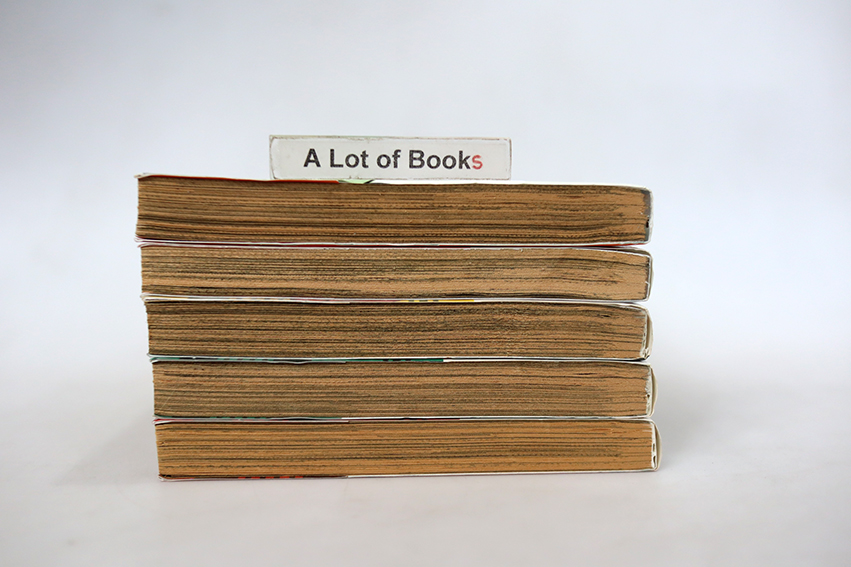 Chrome 49 โครม 49 สาวพันธุ์ตูบ ( 5 เล่มจบ )