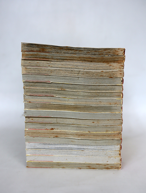 พลิกตำนานมาพบรัก ( 18 เล่มจบ )