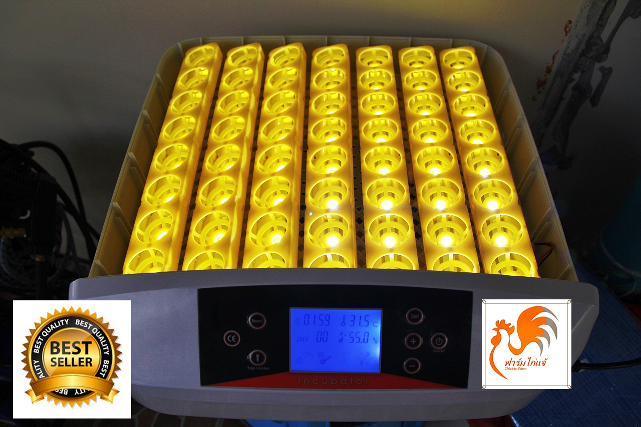 เครื่องฟักไข่ 56 ฟอง รุ่น CF-56X ระบบอัตโนมัติ มีไฟ LED ส่องเชื้อไข่ในตัว