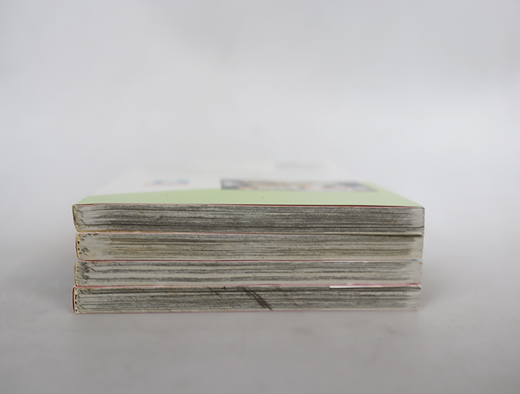 ยามเมื่อดอกรักผลิบาน ( 4 เล่มจบ )