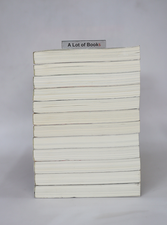 ย้อนเวลาขึ้นเป็นอ๋อง ภาค 2 ( 12 เล่มจบ )