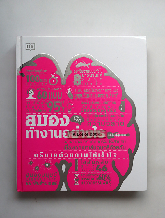 สมองทำงานอย่างไร