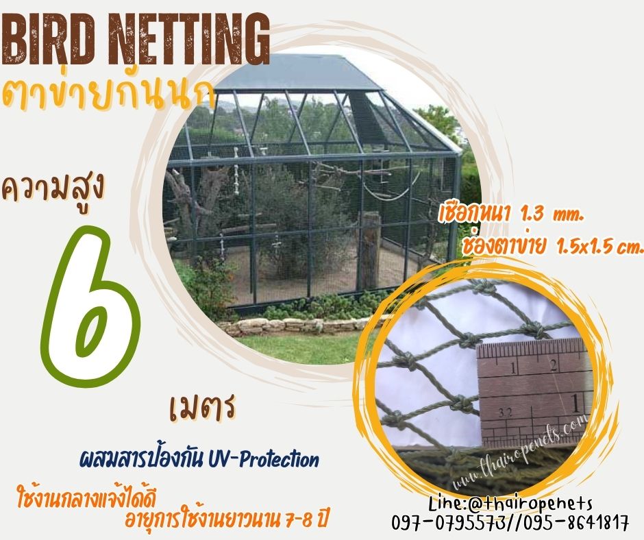 ตาข่ายกันนกกันสัตว์เข้าในโรงงาน bird netting ความสูง 6 เมตร สีเขียวขี้ม้า รุ่นหนา 1.3 มิล ช่องตา 1.5x1.5 cm. กดเลือกความยาวตามต้องการได้เลย
