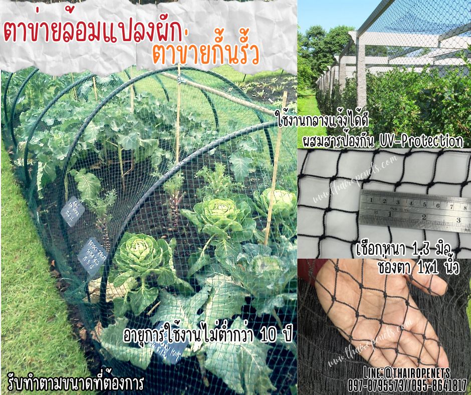 ตาข่ายกั้นรั้วผักสวนครัว สีดำ เชือกหนา 1.3 มิล ช่องตา1x1 นิ้ว ตาข่ายล้อมแปลงผัก รับทำตามขนาดที่ต้องการ