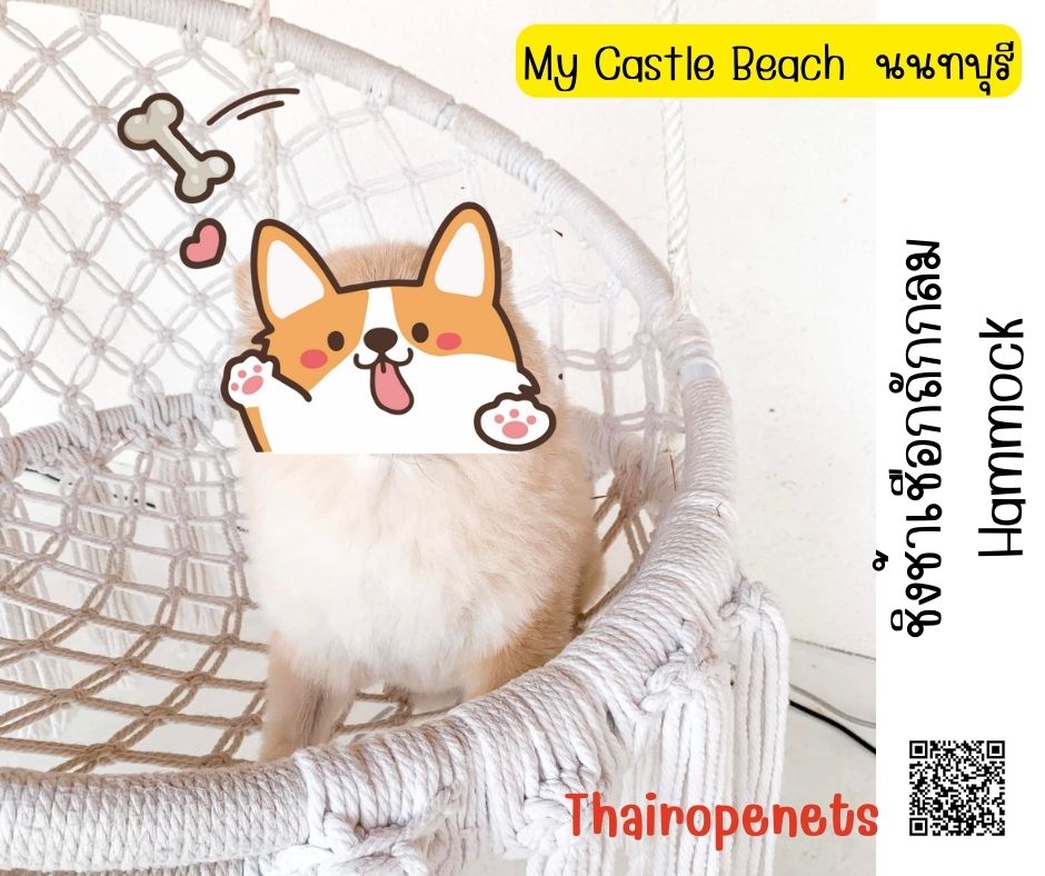 รีวิวตาข่ายเปลนอน ไร้ปม ตาข่ายเปลนอนตามร้านอาหาร คาเฟ่ ตาข่ายนั่งเล่นตามร้านกาแฟ