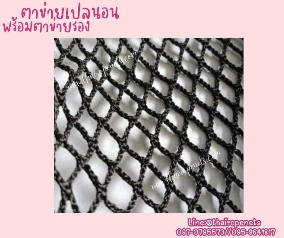 ตาข่ายเปลนอนรุ่นStandard พร้อมตาข่ายรองเชือกโพลีเอสเตอร์ถักอย่างดี สีดำ พร้อมเชือกมัดตาข่ายอย่างดี รับทำตามขนาดที่ต้องการ