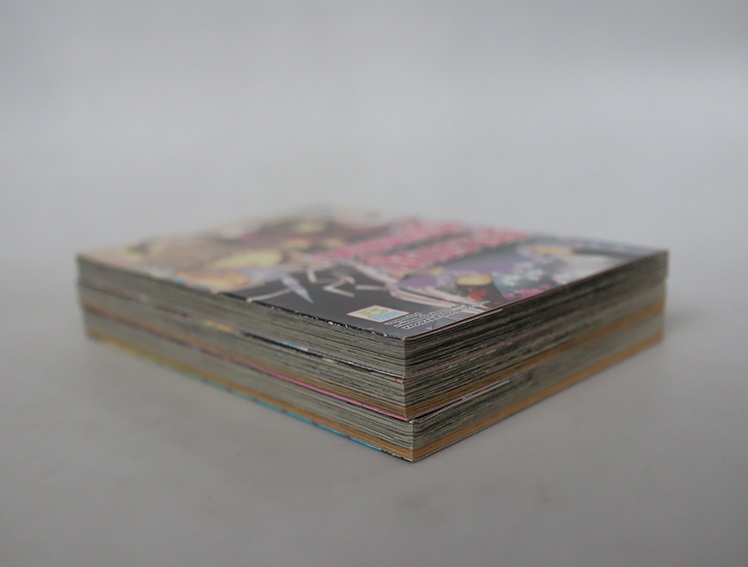 เวทมนตร์รัก นักปราบผี ( 3 เล่มจบ )