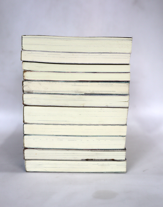 นิยายแจ่มใส เลิฟซีรี่ย์ - เจ้าหญิงผู้เลอโฉม