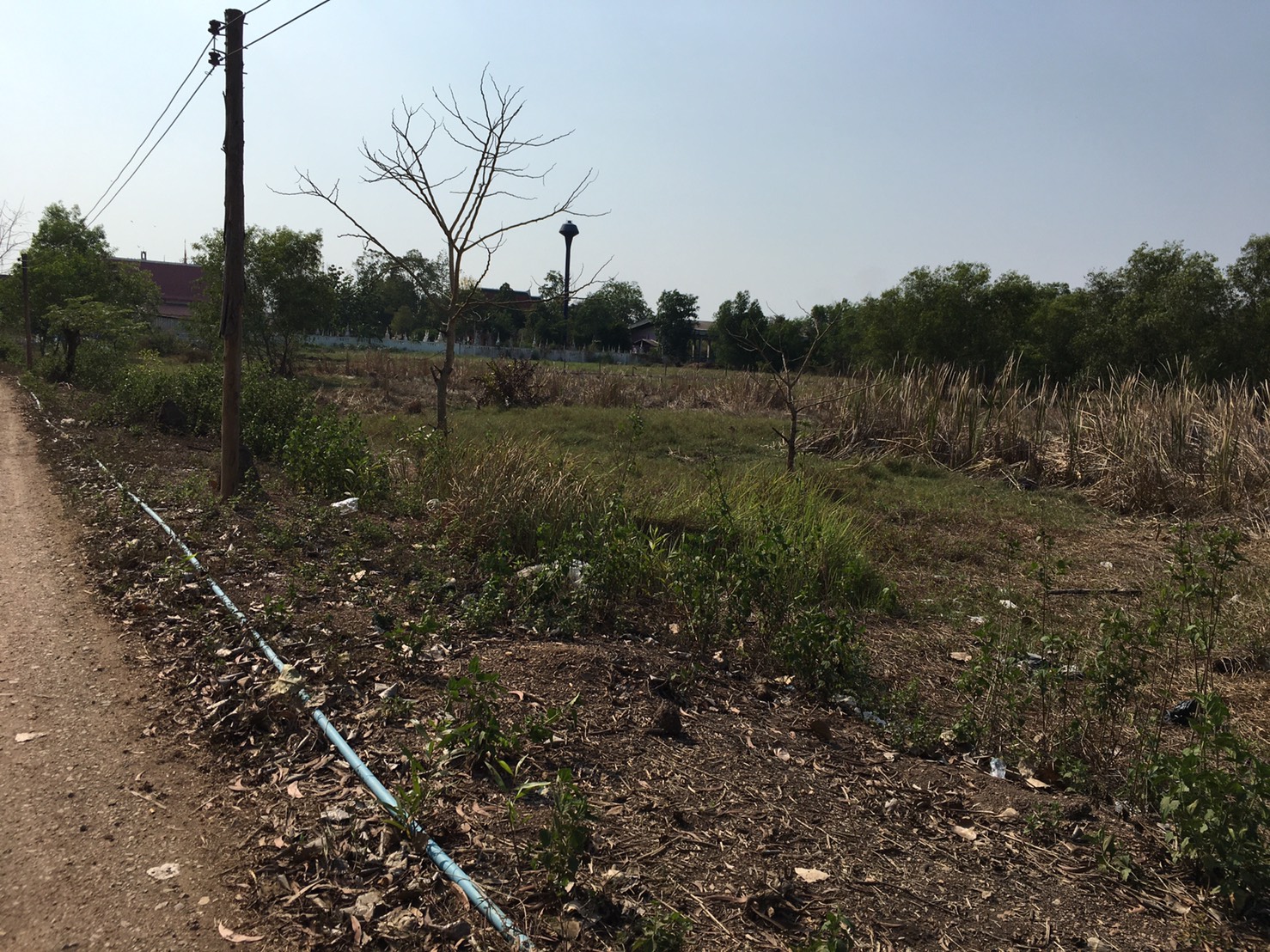 ขายที่ดินคลอง4 เนื้อที่ 10ไร่ ข้างวัดตะวันเรือง ต.คลองสี่ อ.คลองหลวง จ.ปทุมธานี