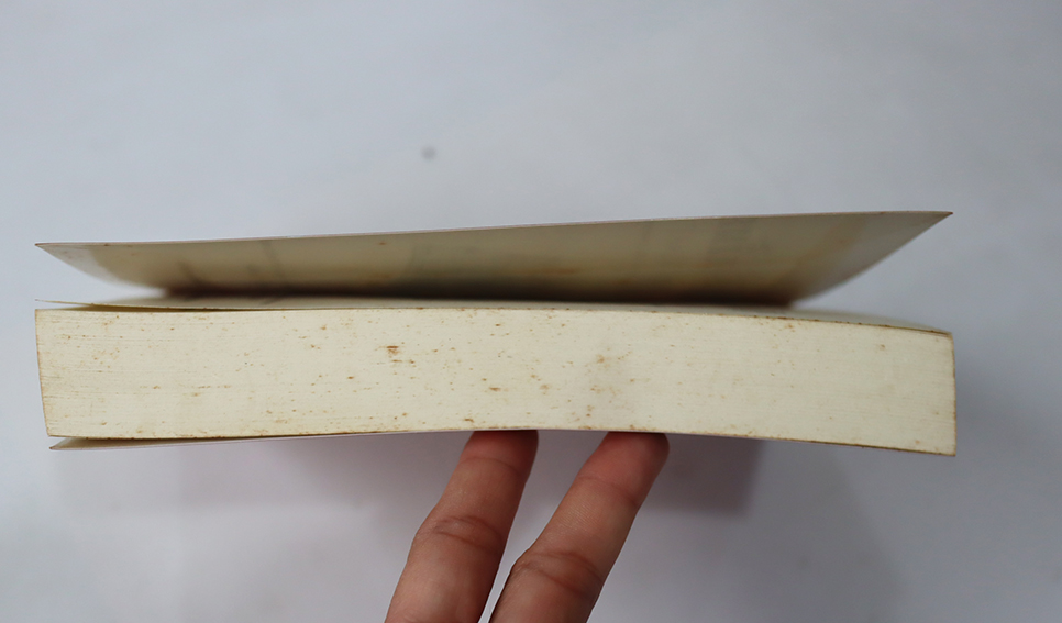 หัวใจน้ำหมึก