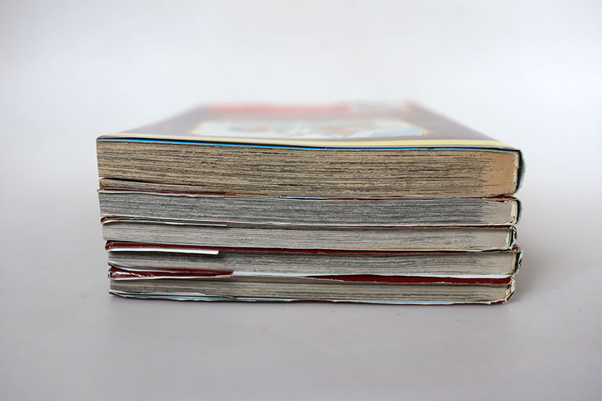 บาคุมัทสึ ซามูไรพันธุ์ระห่ำ ( 5 เล่มจบ )