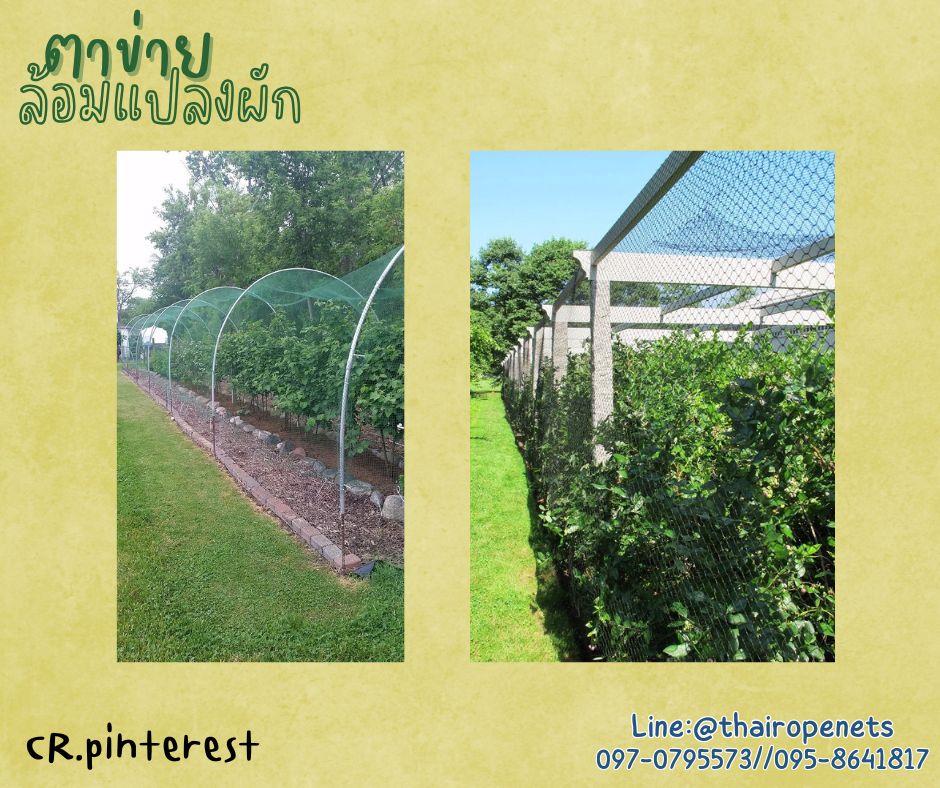 ตาข่ายอวนกั้นรั้ว สีแดง เชือกหนา 1.5 มิลช่องตา 1x1 นิ้ว ตาข่าย HDPE เคลือบสารป้องกัน UV ขนาดยกม้วน 10x25 เมตร