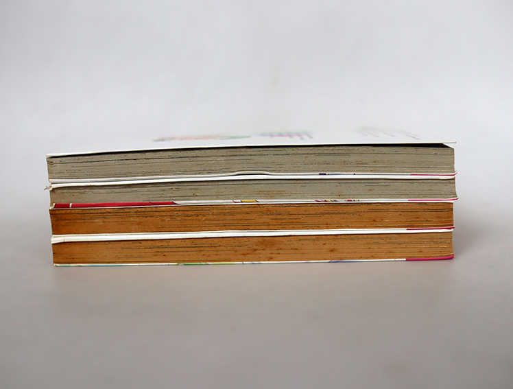 Canvas 2 ภาพรักหลากสีสัน ( 4 เล่มจบ )