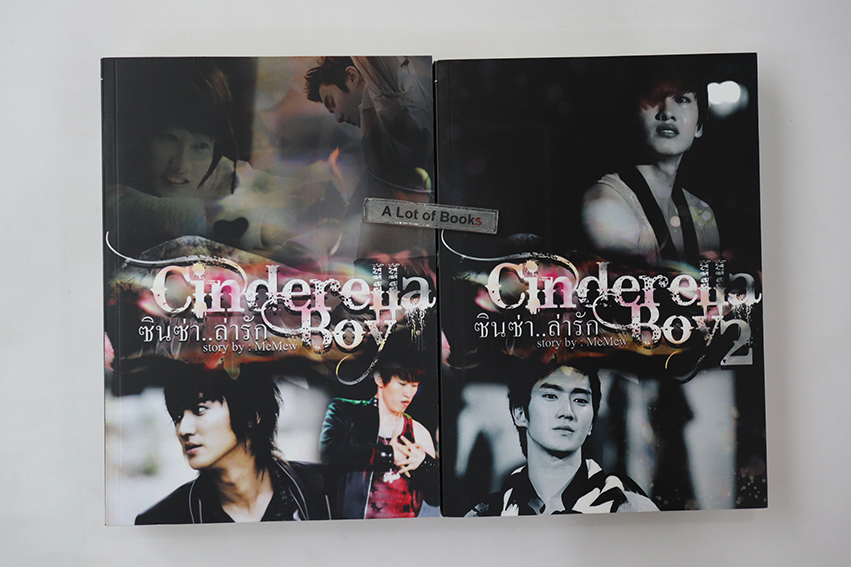 ซินซ่า ล่ารัก Cinderella boy ( 2 เล่มจบ)