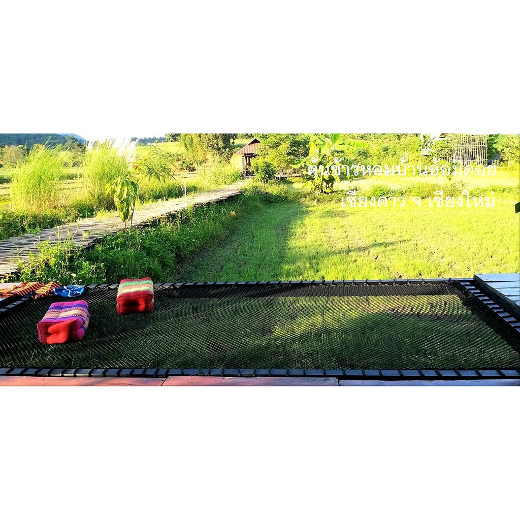 ตาข่ายคาเฟ่ ตาข่ายทำเปลนั่งเล่นริมน้ำ ตาข่ายชมวิว ⭐️ขนาด 2 x 4 m.⭐️แถมเชือกพันติดตั้ง120 m. ⭐️