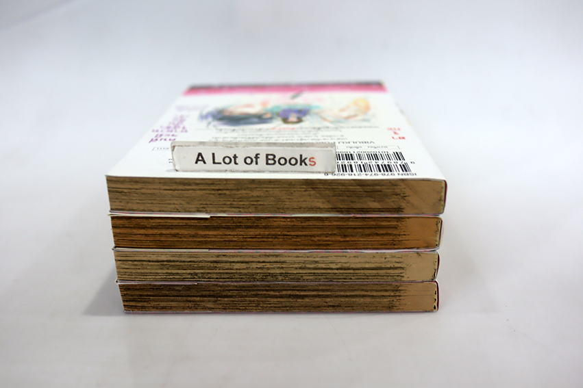 Asura เจ้าสาวอสูร (4 เล่มจบ)