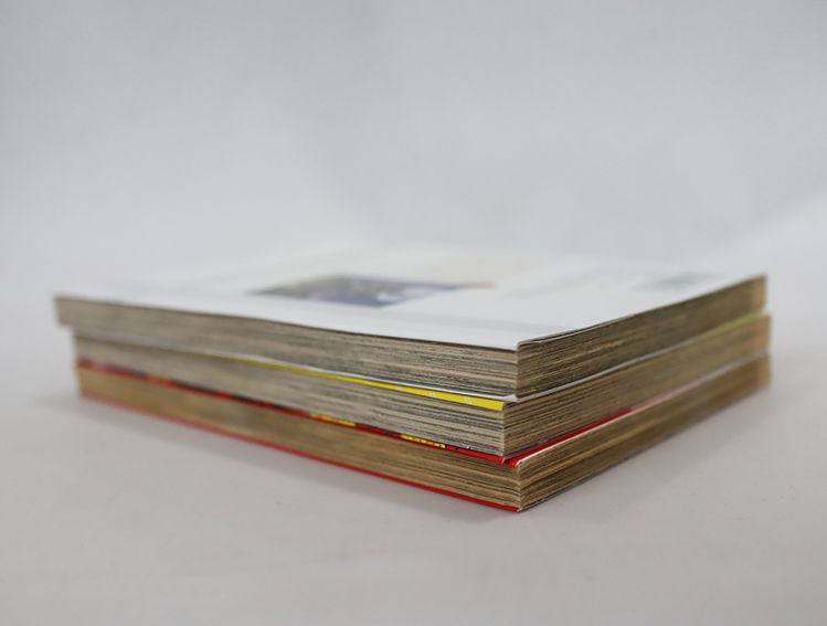 Van Helsing Darkness Blood (3 เล่มจบ )